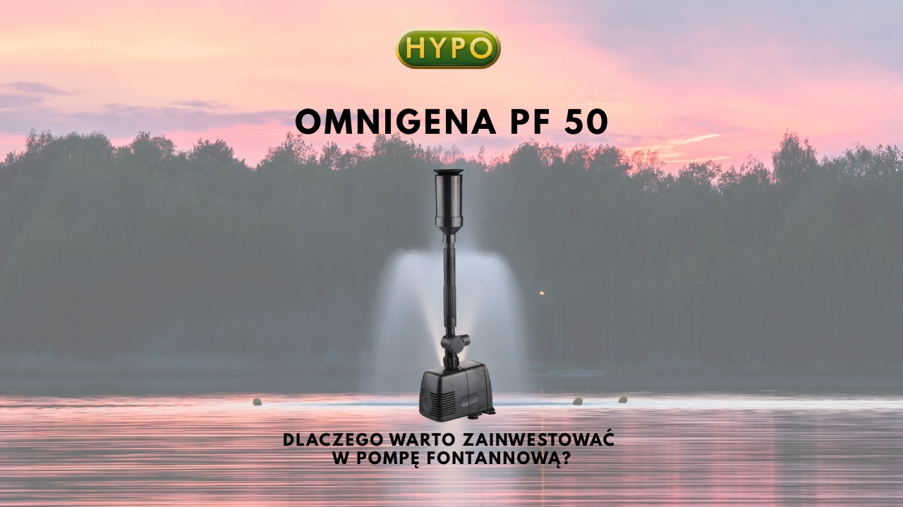 Jak Wybrać Idealną Pompę Fontannową do Twojego Ogrodu?