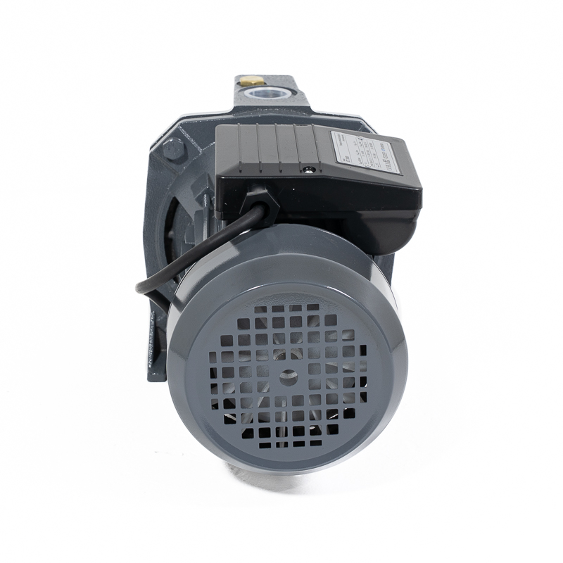 Pompa samozasysająca JET 100D Torente (1100W) 230V zdjęcie numer 7